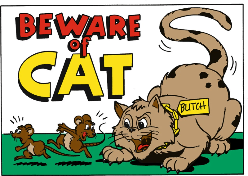Beware Of Cat